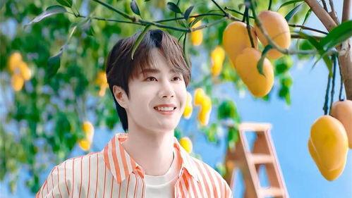 娱乐大爆料王一博视频,娱乐大爆料引粉丝热议